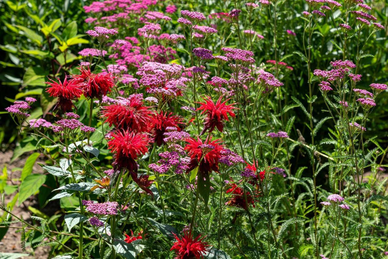 B&B De Hemelse Polder Saint-Laurent Extérieur photo